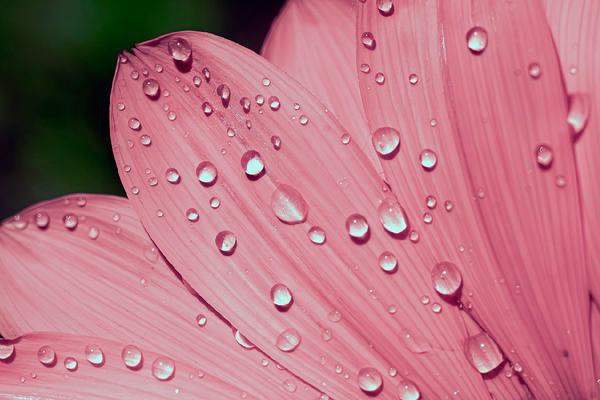 Gravidanza ectopica: fattori di rischio, diagnosi e gestione